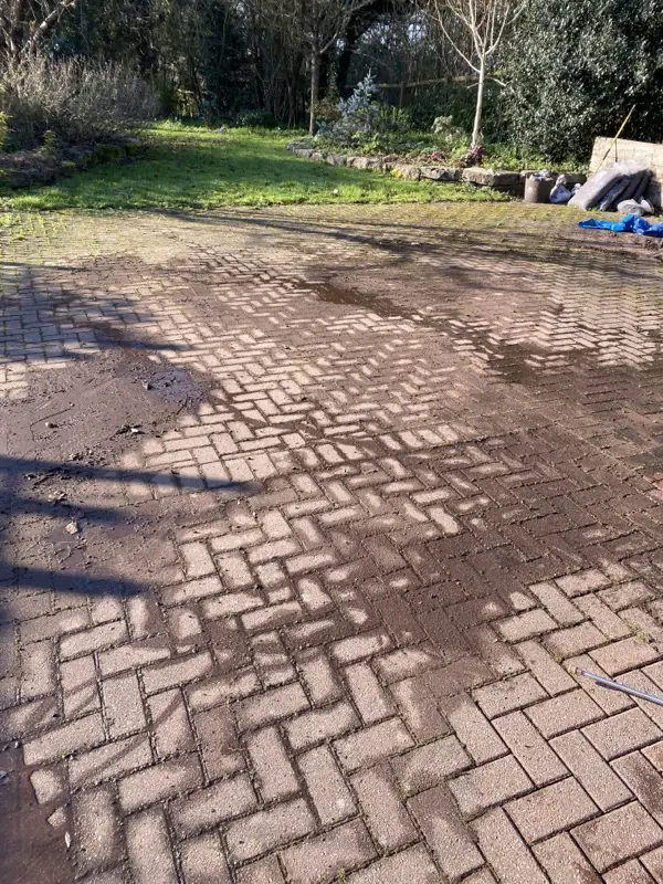 Block paved driveway thick with moss and dirt before cleaning